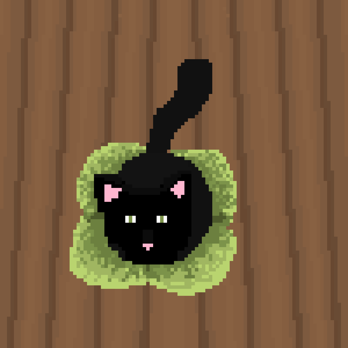 Cat on a Cushion