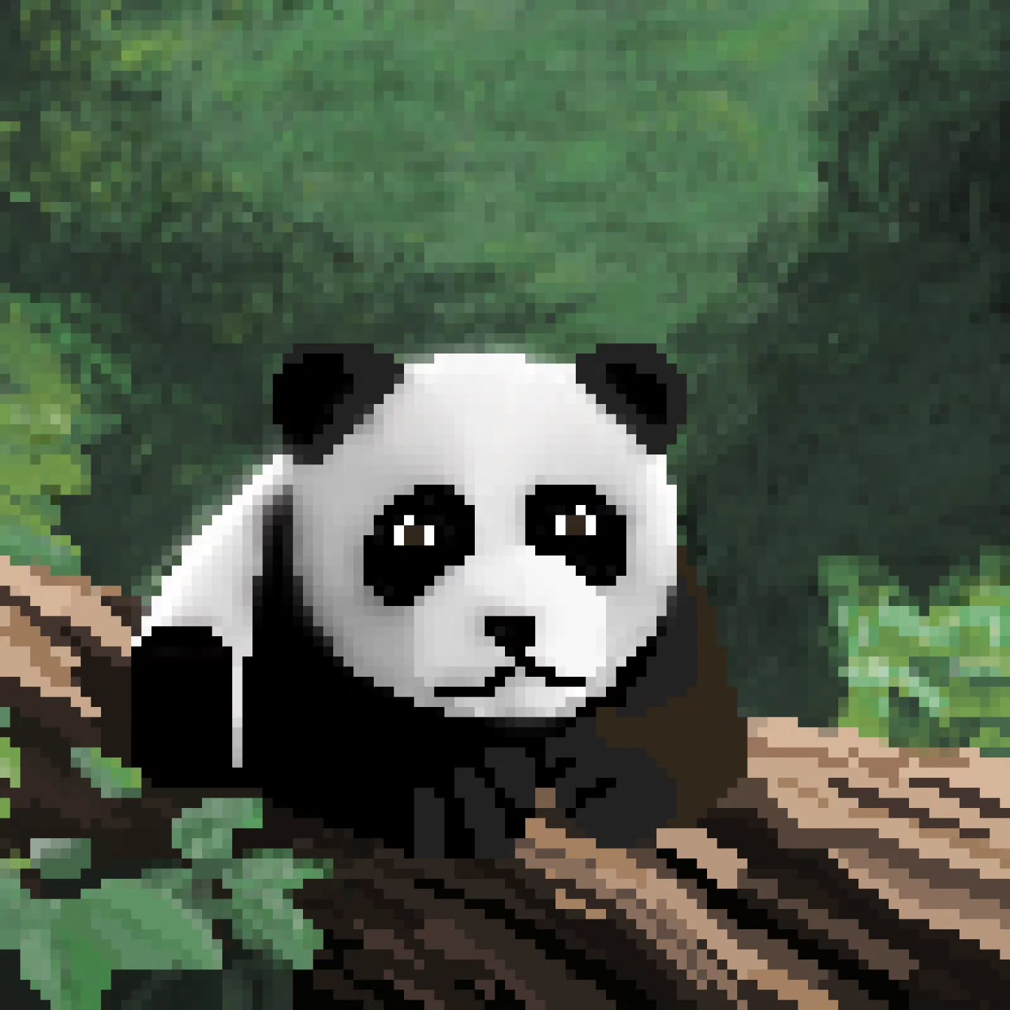 Baby panda on a log